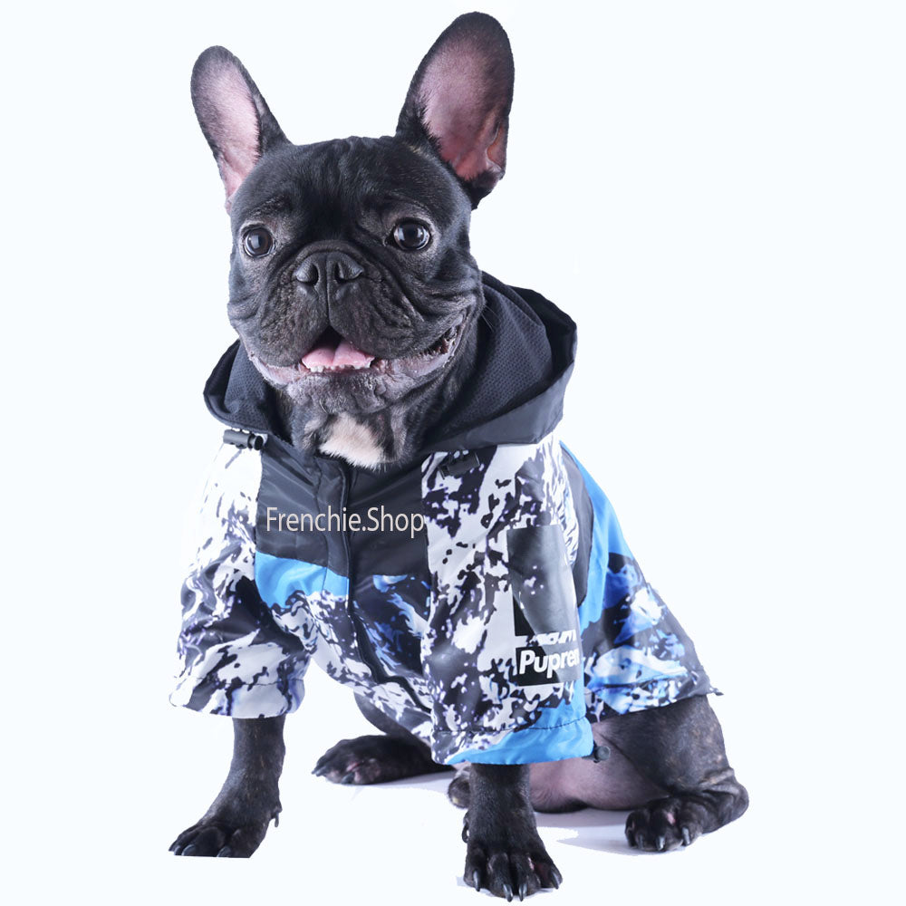 Frenchie-Fan Cozy Blueharmony Raincoat V2 for Pet Enthusiasts Premium