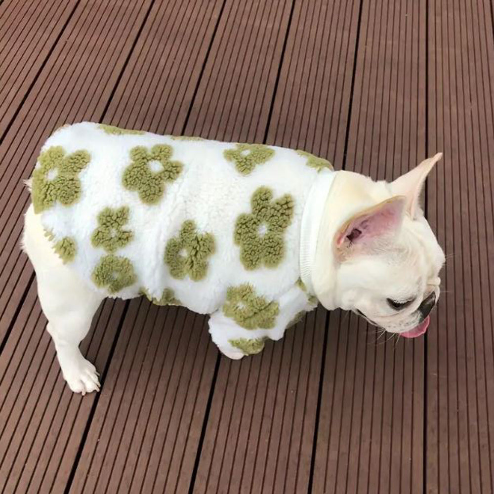 French Bulldog Petalpup Flower Bloom Frenchie Sweater Stylish Pet