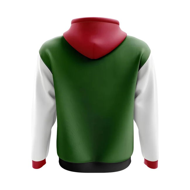 Top-Tier Sudan Concept Country Football Hoody (Green) Premium-Quality