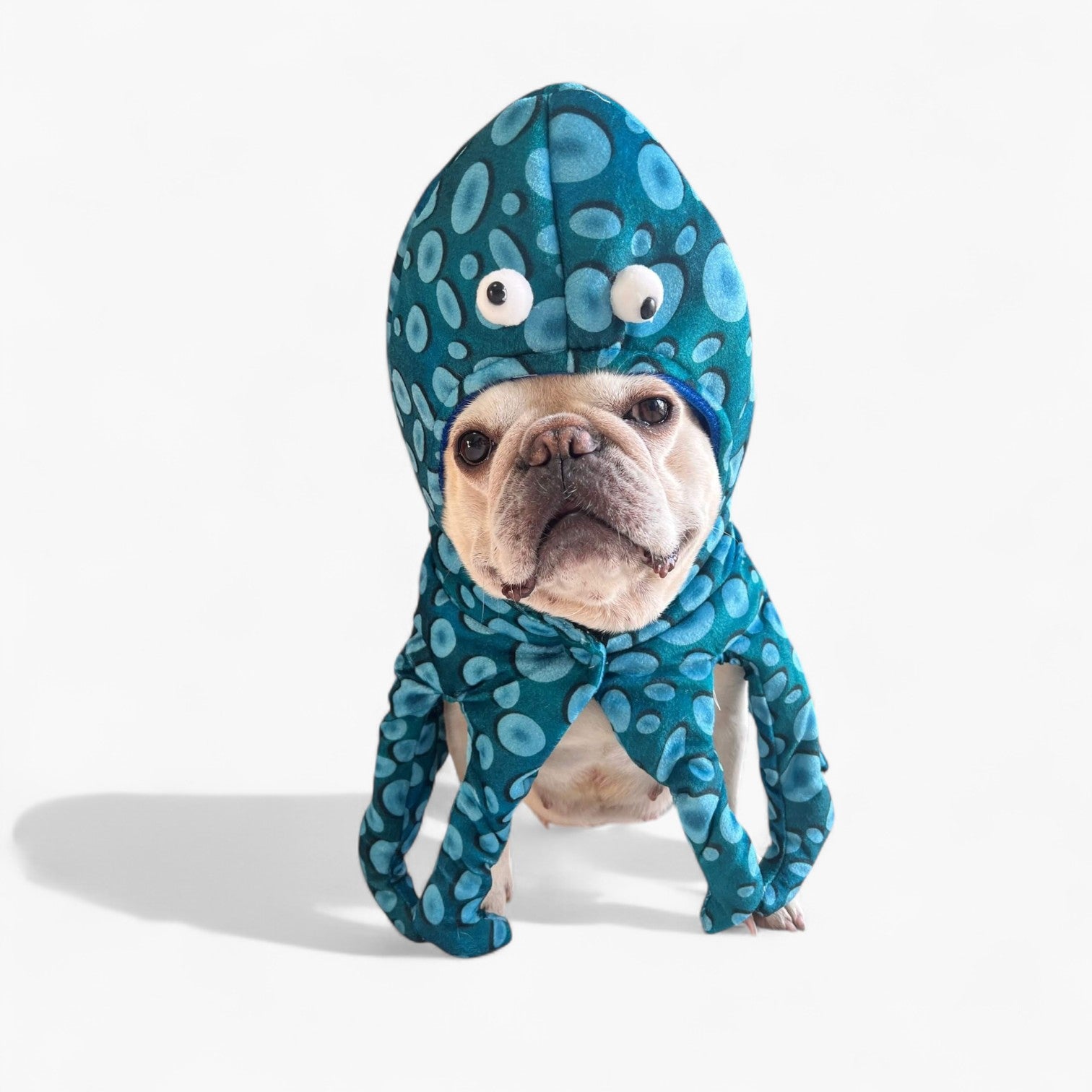 Funny Adjustable Halloween Dog Outfit For Frenchie Pups | Durable Build