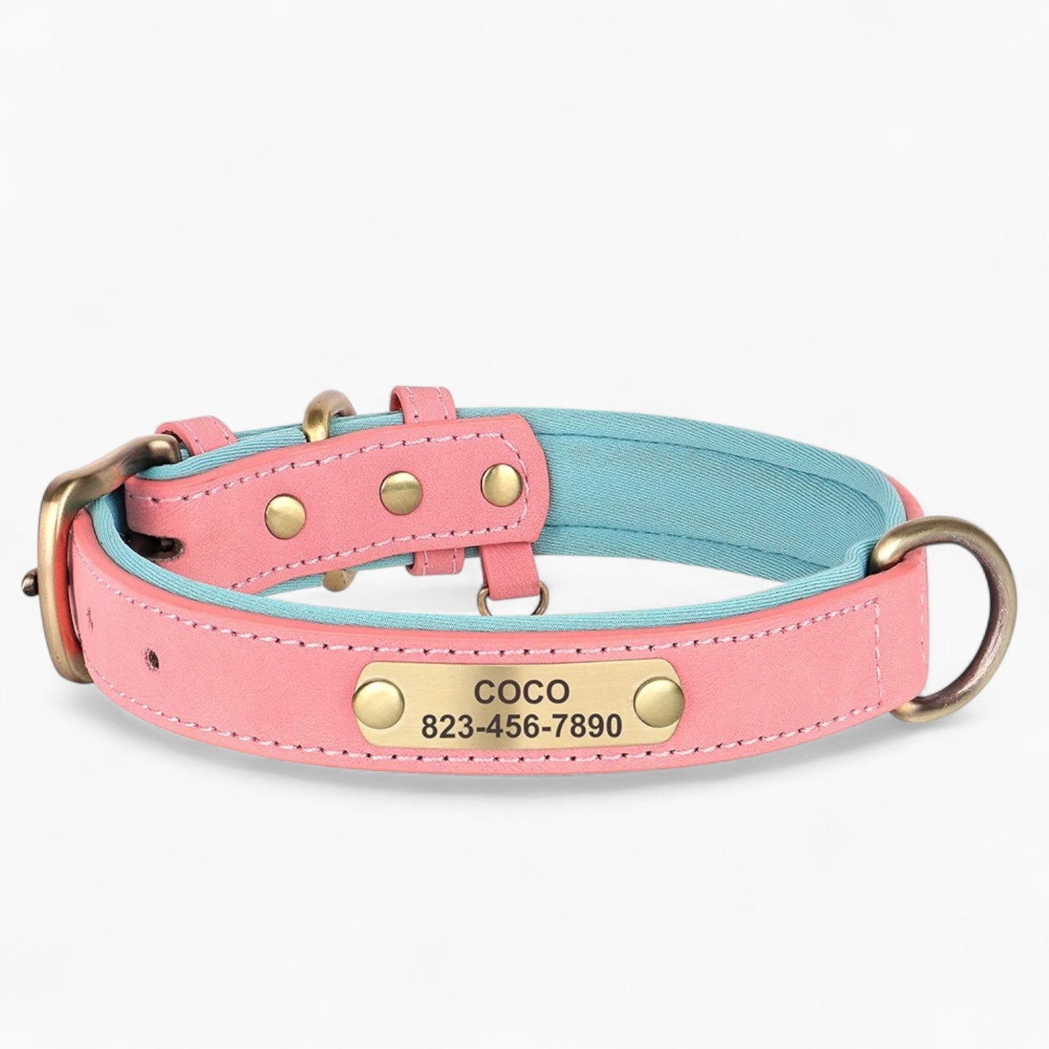 Taggio Frenchie PU Leather Collar – Engraved Personalized ID Tag Stylish Durable