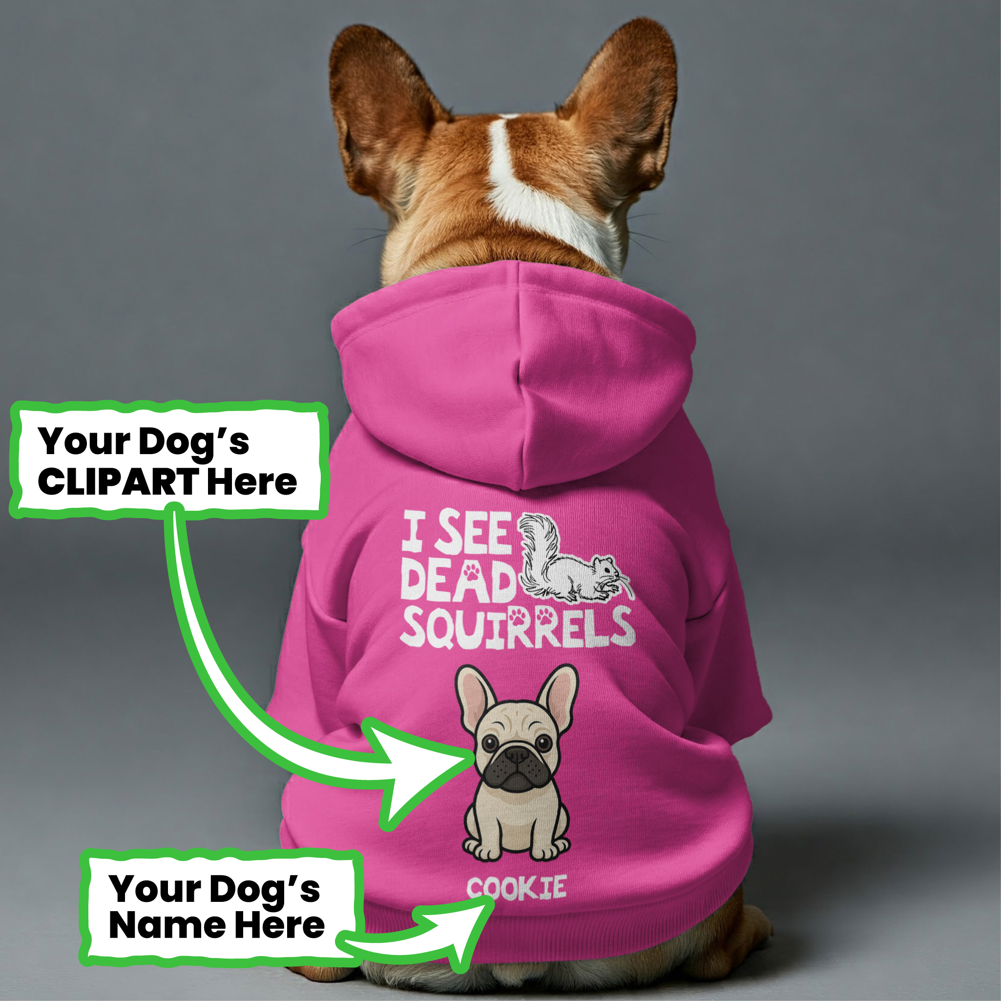 Squirrels- Personalized French Bulldog hoodies with funny quotes, custom name, and custom clipart matching your Frenchie's color – Stylish, Cozy, and Premium 100% Cotton