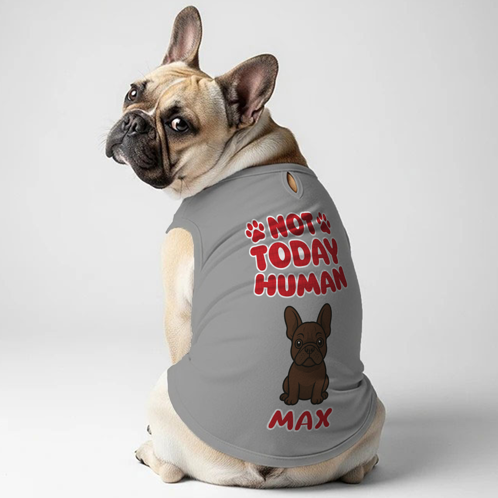 French Bulldog Not Today Personalized Frenchie Shirt | Custom Dog T