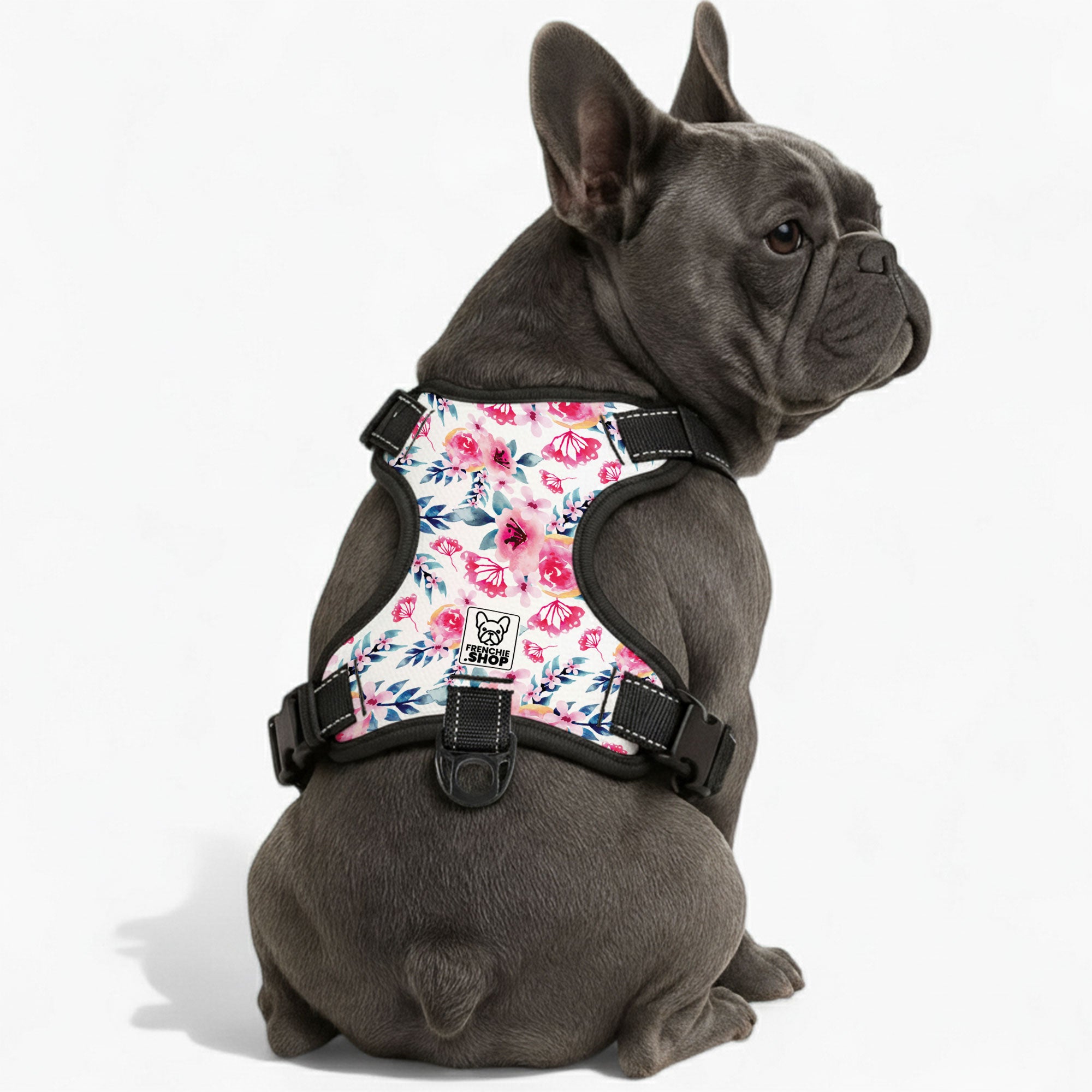 Zinnia - No-Pull French Bulldog Dog Harness