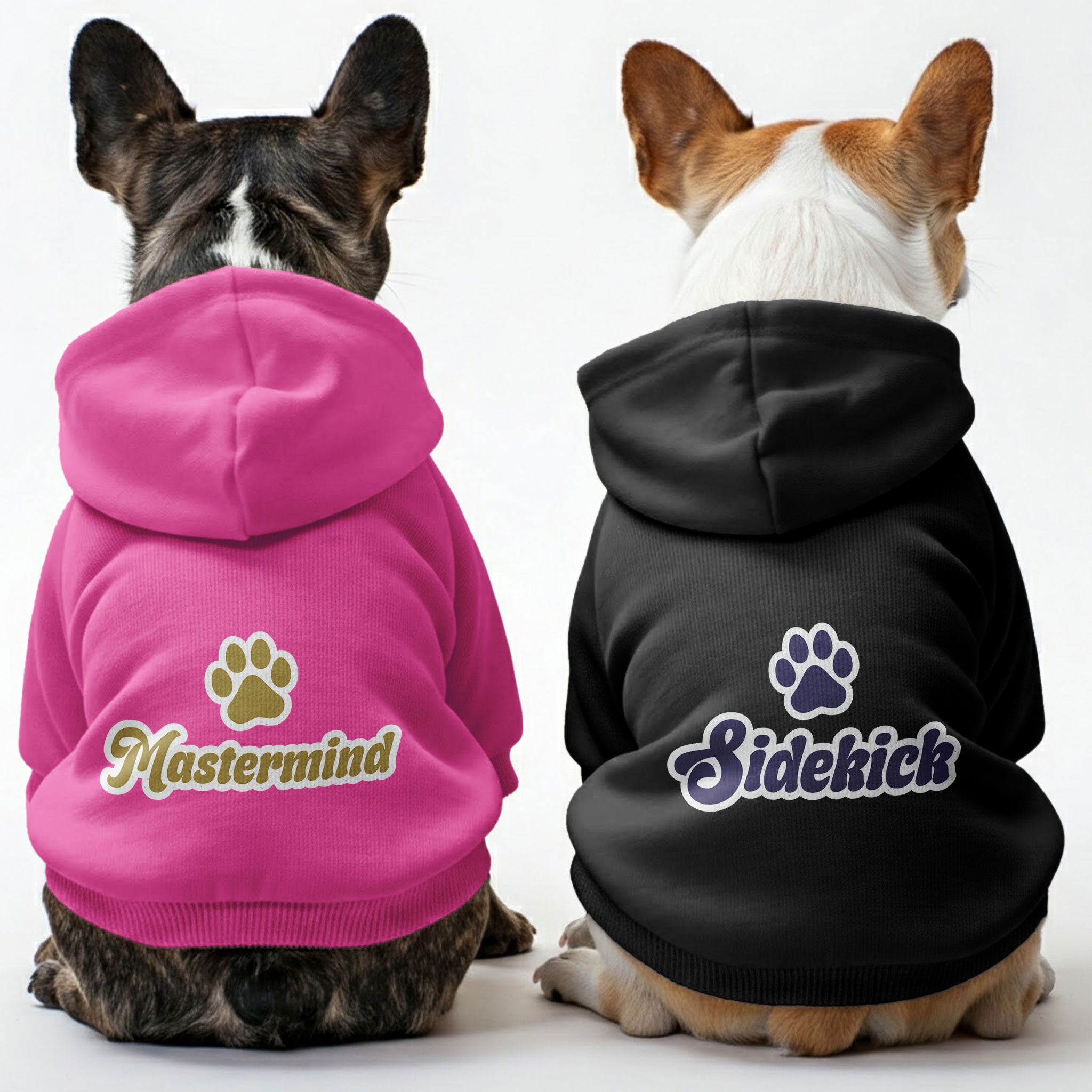 Hoodies – Stylish, Cozy & Personalized! For Frenchie Fans | Stylish Look
