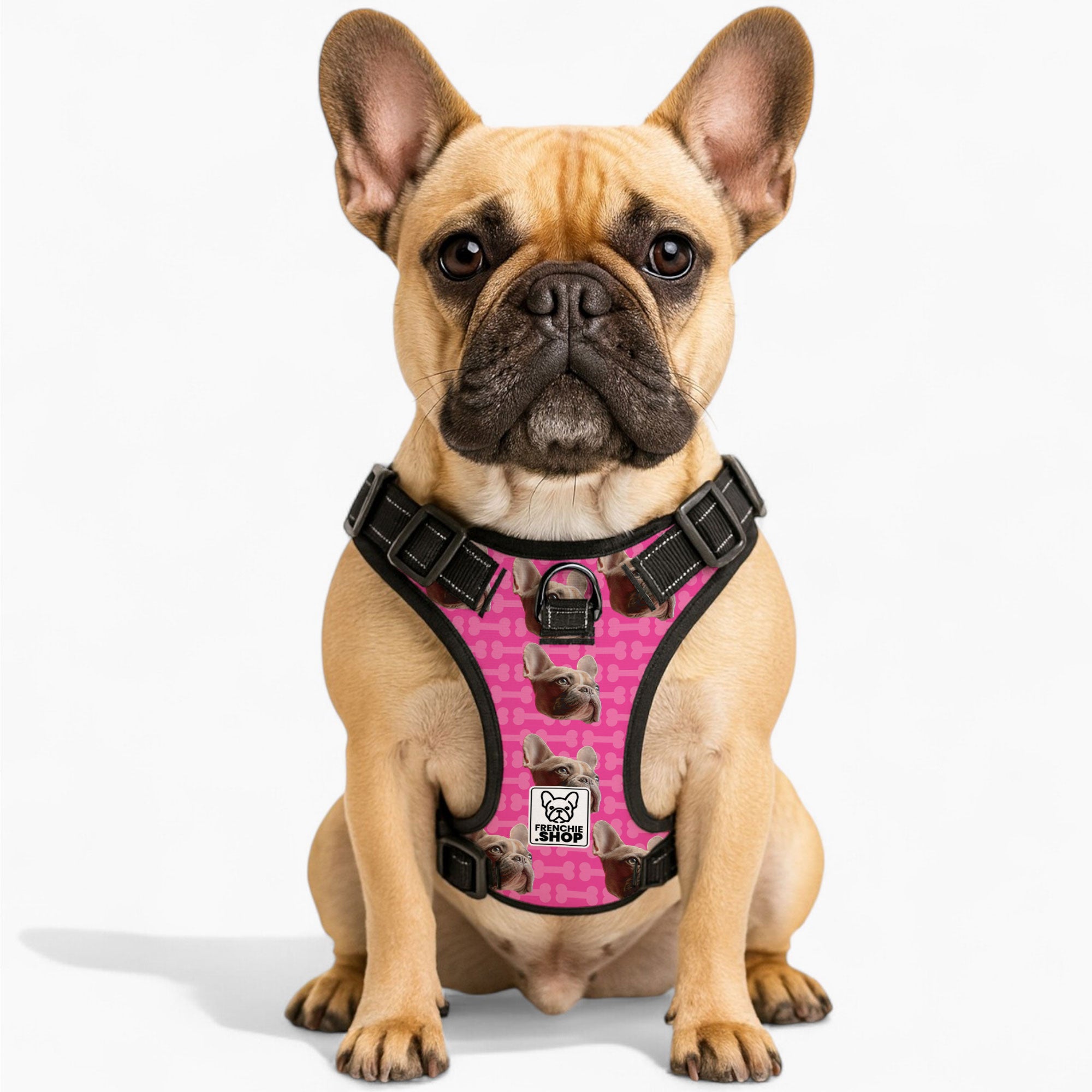 Quincy - Personalized No-Pull French Bulldog Dog Harness