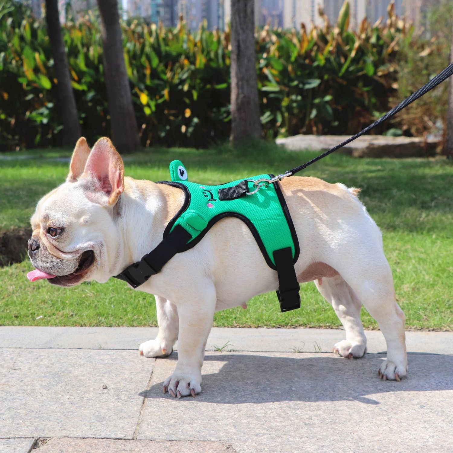 French Bulldog Soft Mesh Frenchie Harness With Leash – Escape Proof