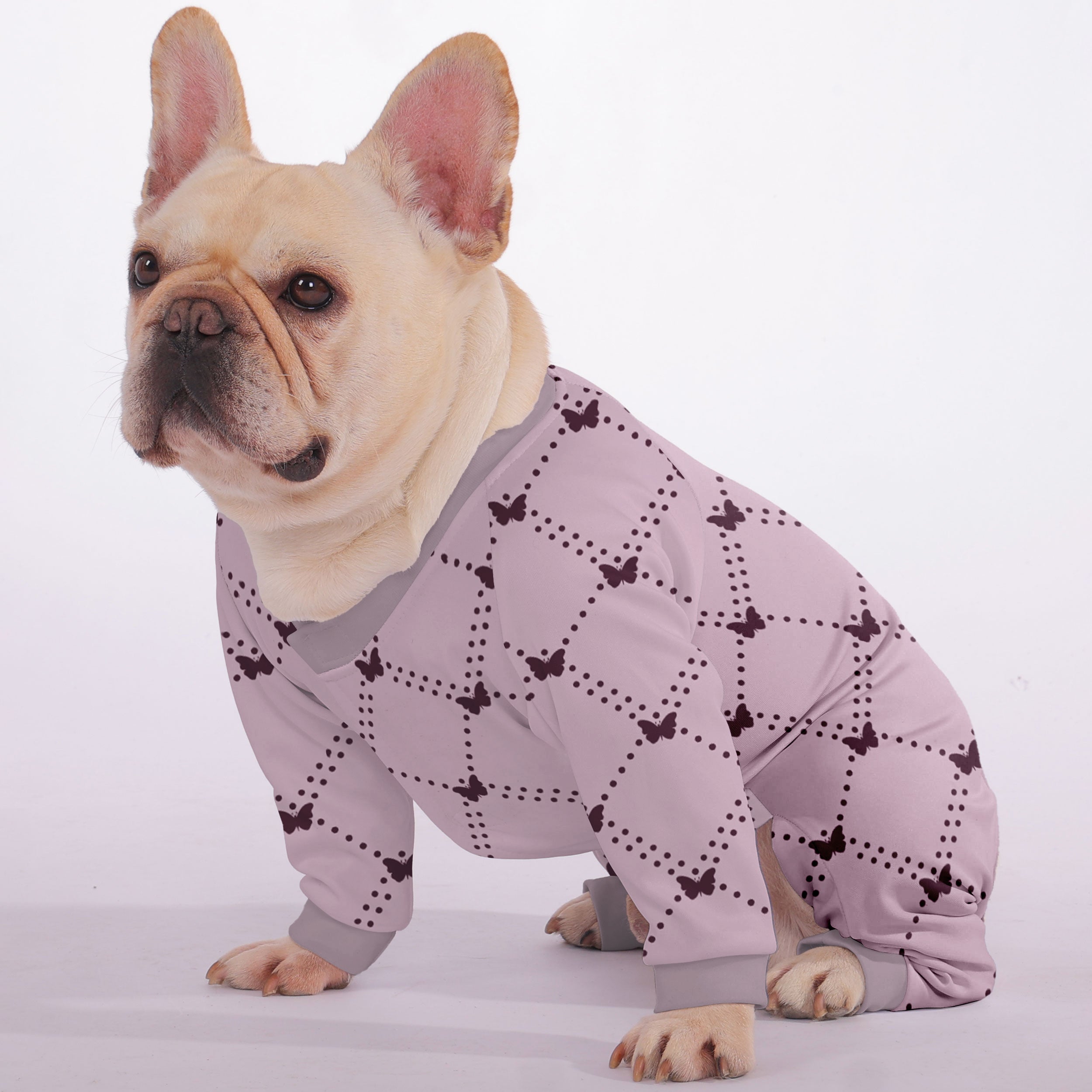 Quinn - Frenchie Pajama