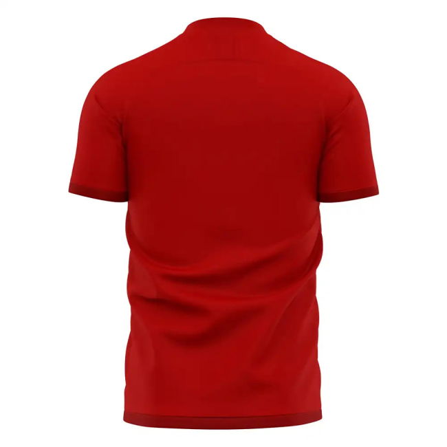 Nurnberg 2025-2026 Home match jersey - authentic and vintage v3.570