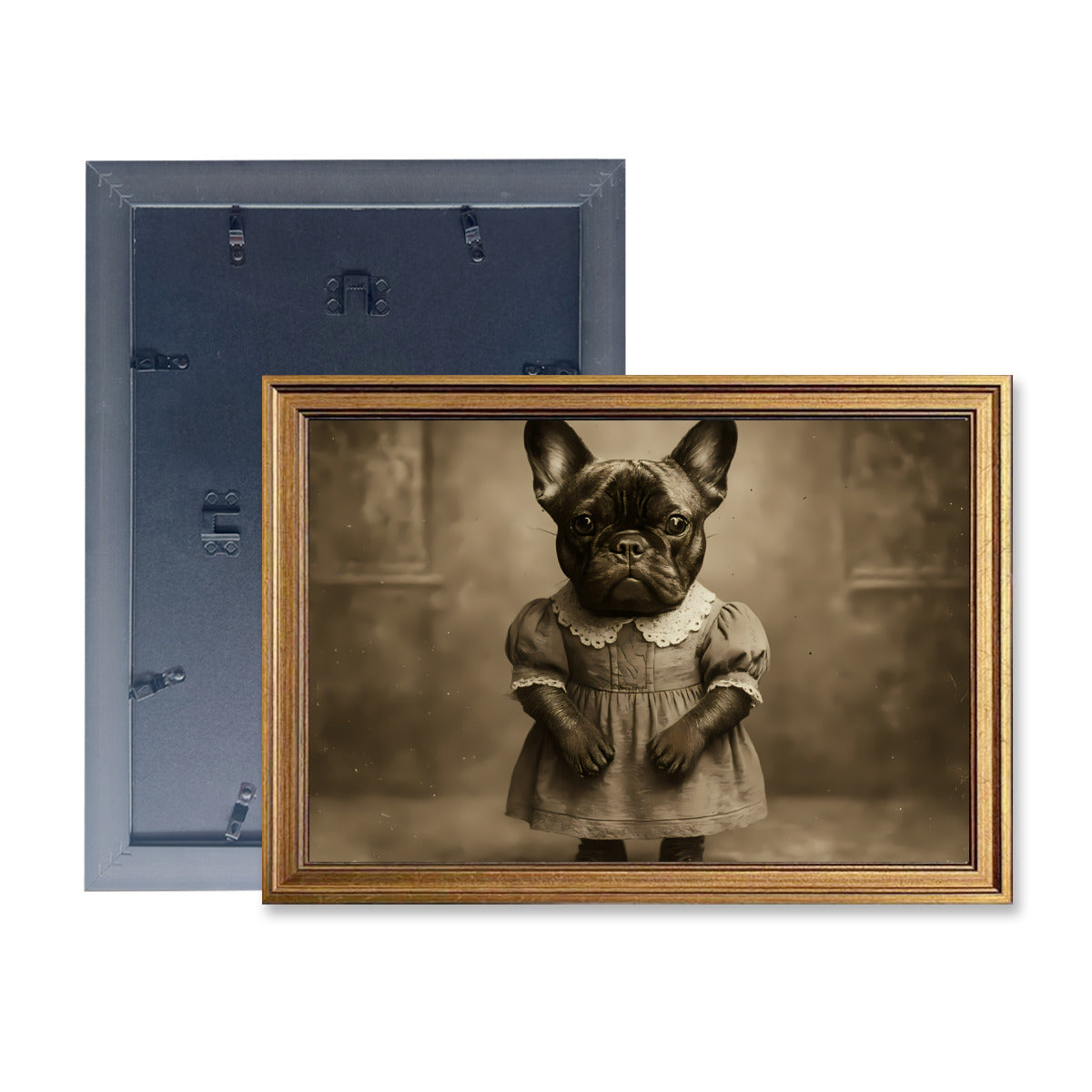 Zeus - Framed poster • Wall Decoration