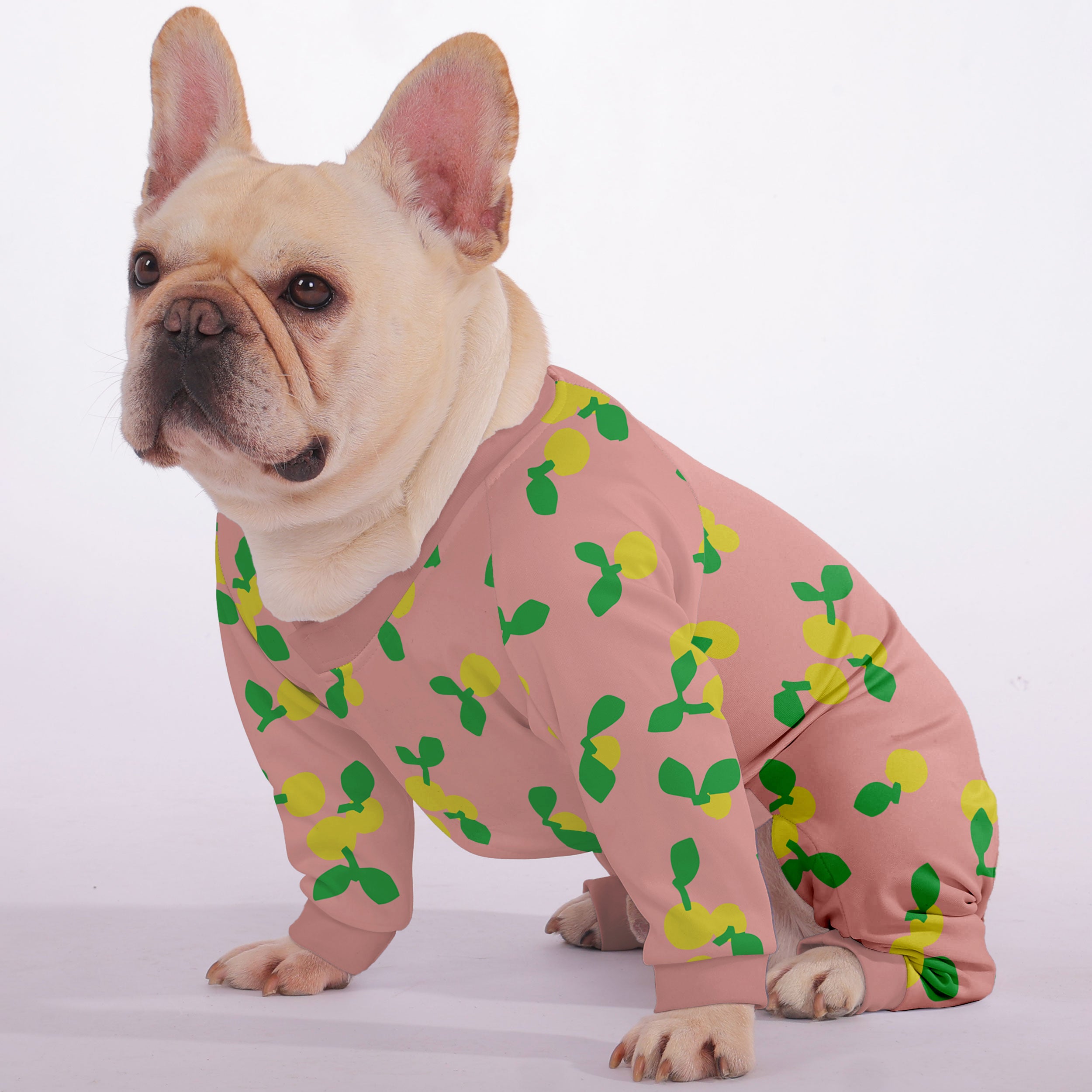 Lifestyle-Driven Everyday Luna - Frenchie Pajama for Casual Outings