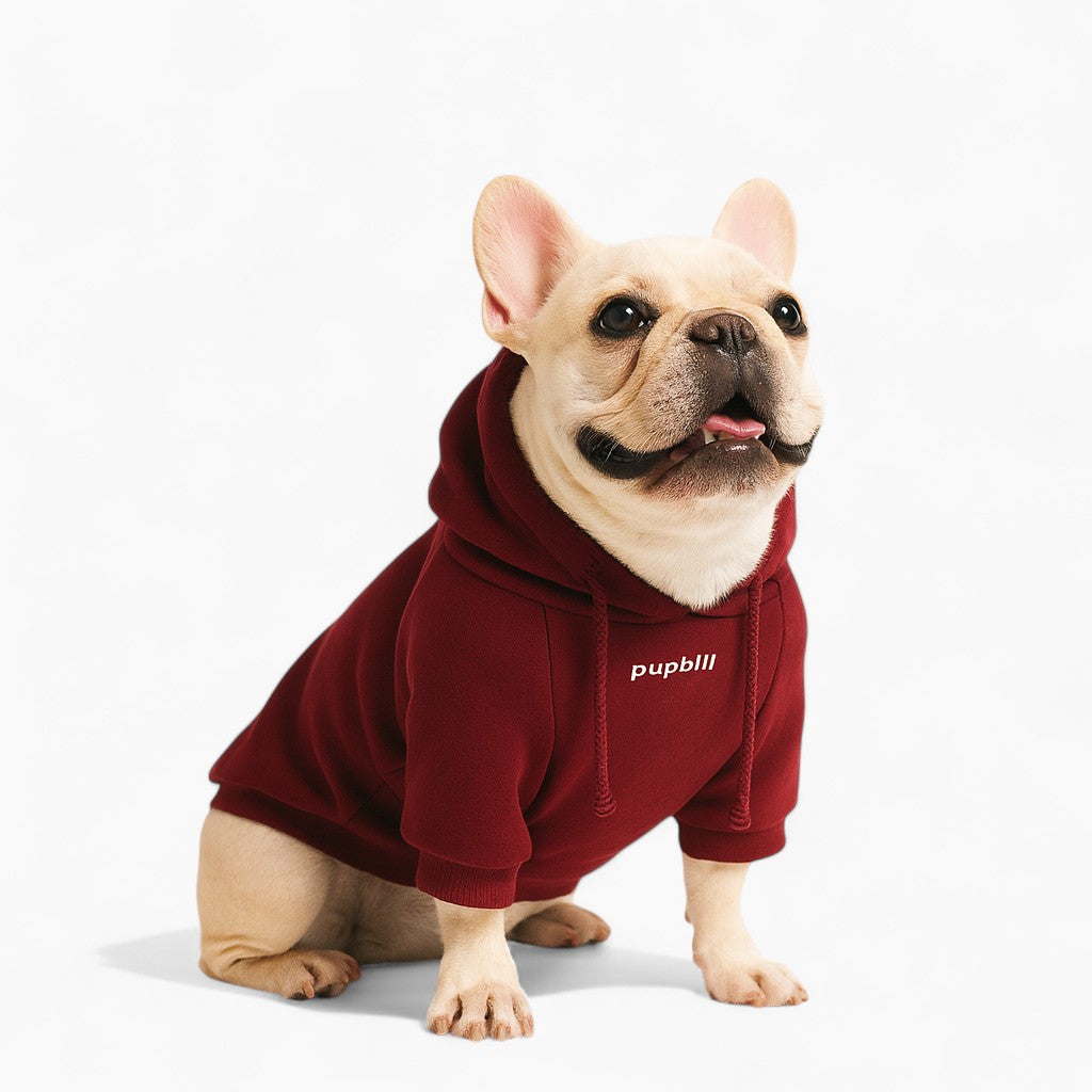 French Bulldog Fangaroo Frenchie Human Matching Hoodie – Plus Velvet