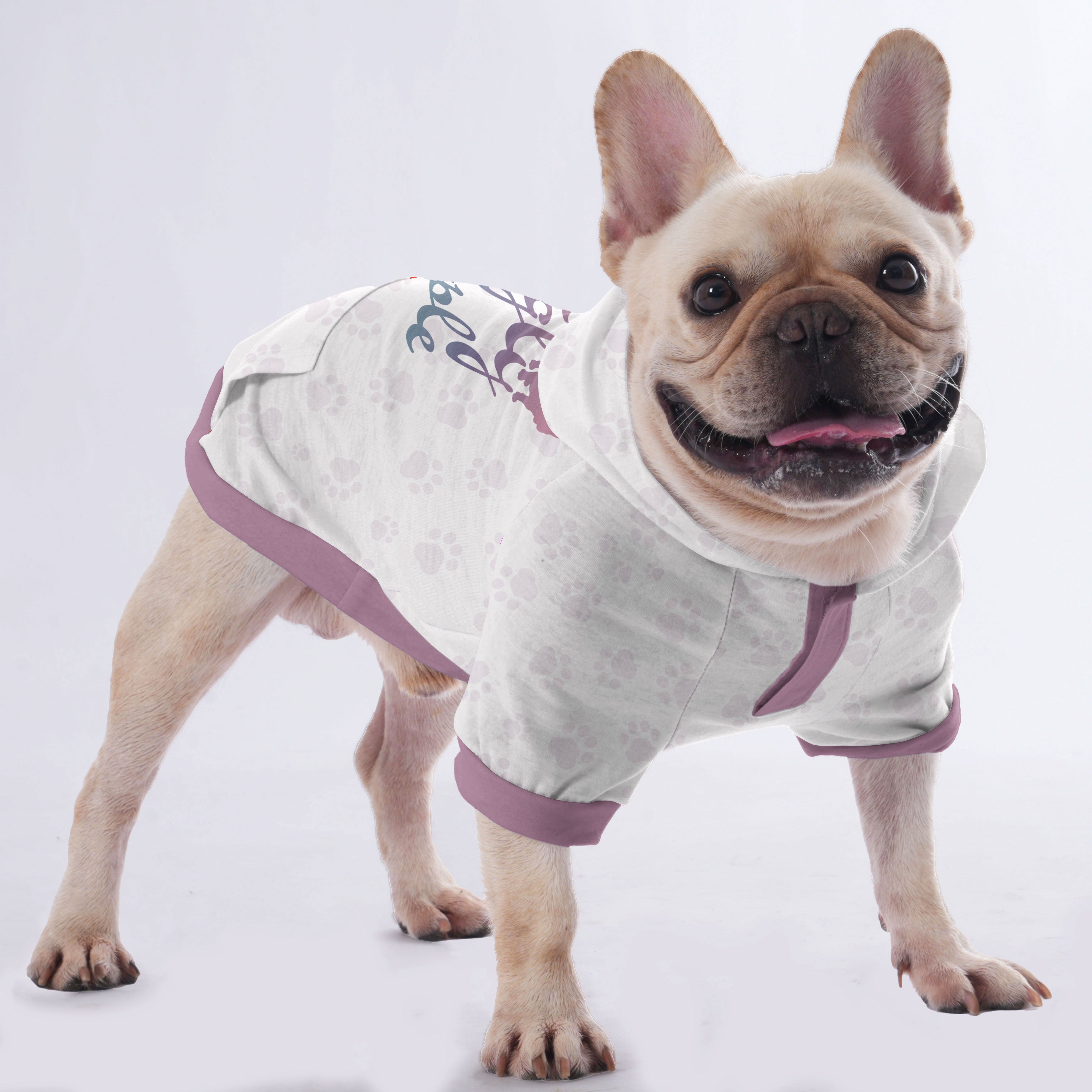 Frenchie-Fan I Bark At Ugly People - Hoodies For French Bulldog | Fre...
