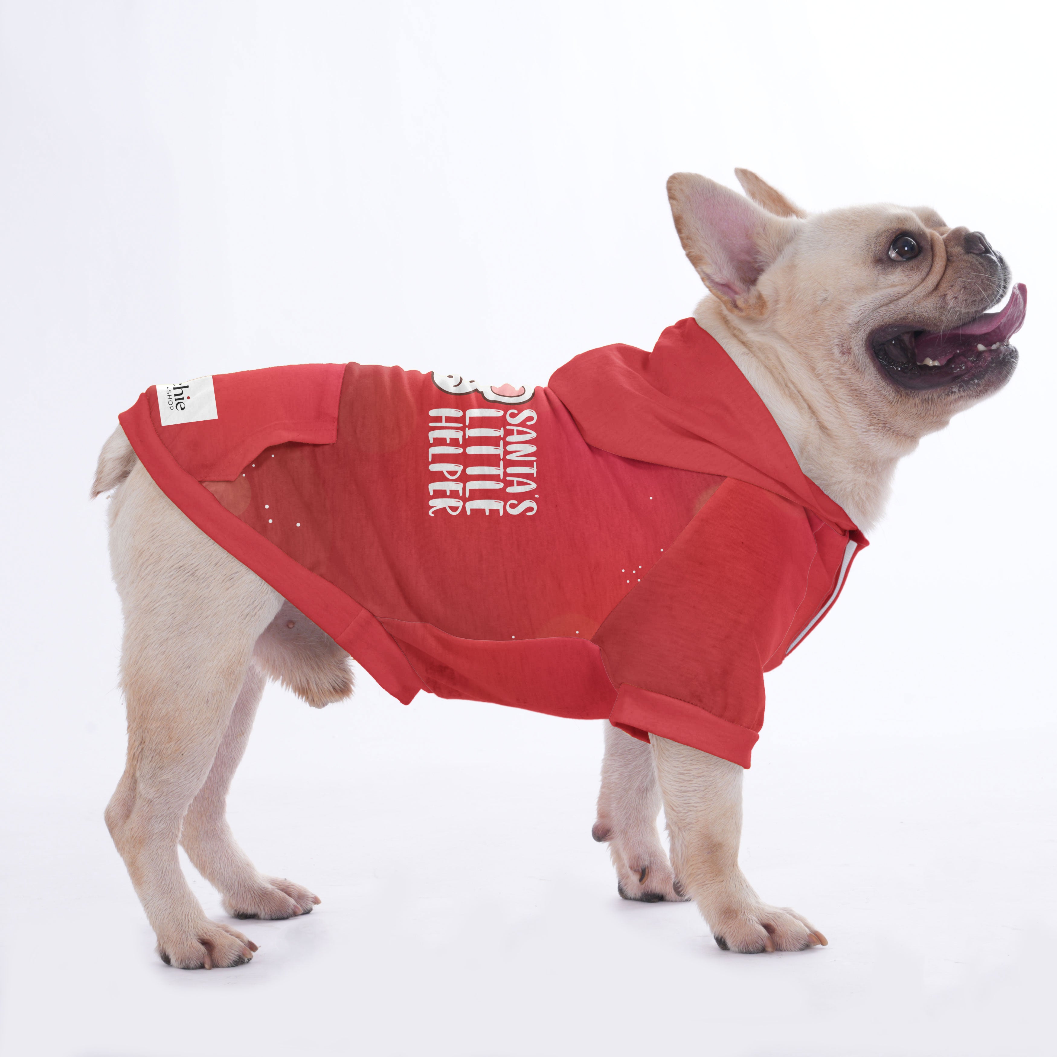 Blu - Hoodies for French Bulldog | Frenchie Shop Original