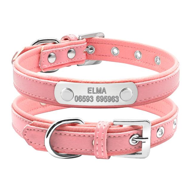 Custom Frenchie Collar