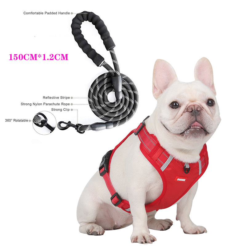Reflective Lead Straps (ws 0723) For Frenchie Pups | Non-slip Design
