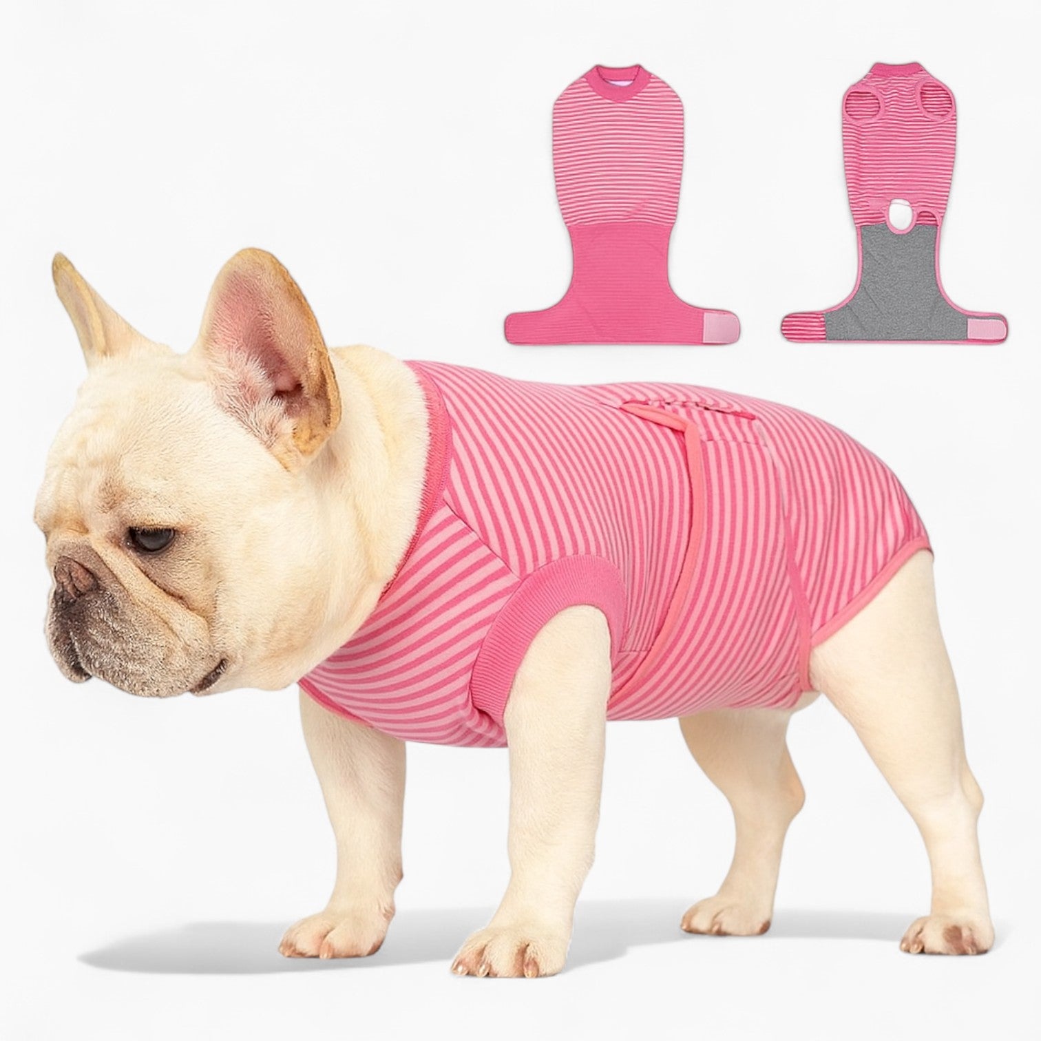 Lifestyle-Driven Tailster French Bulldog Bodysuit – Soft Breathable R...