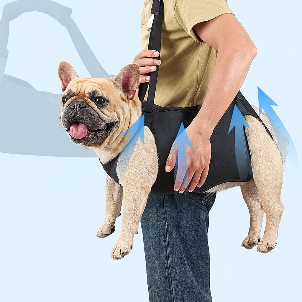 JointJoy Frenchie Lift Support Carrier – Support for Hip Knee and Joint Recovery
