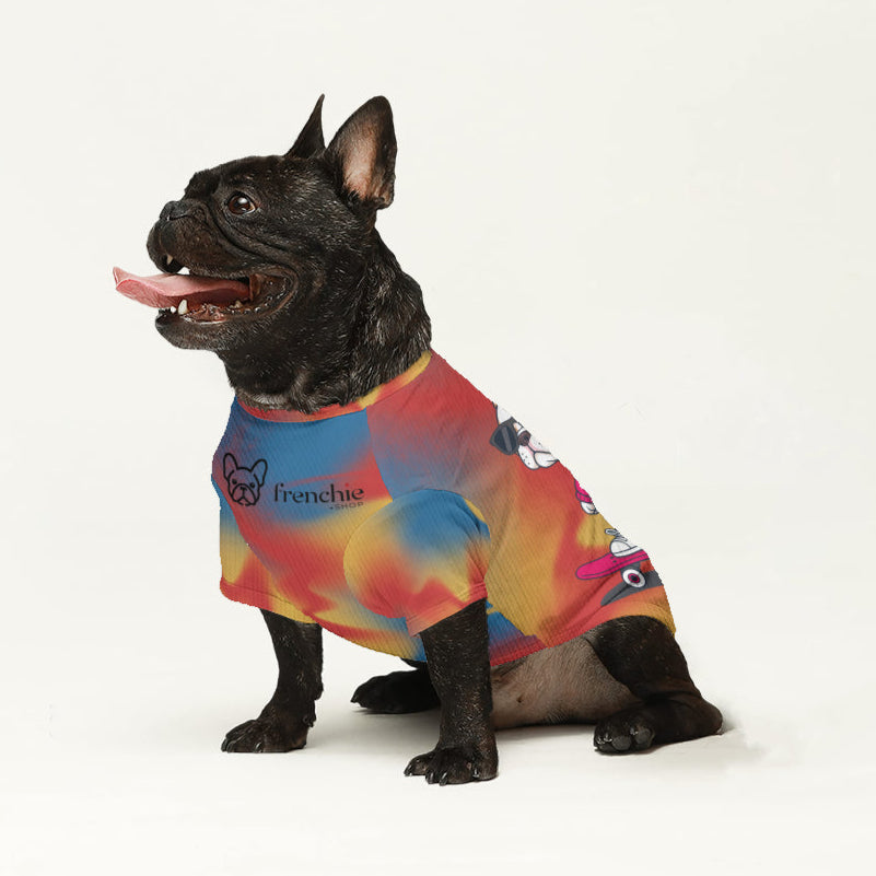 Avi - Wool Sweater for Frenchies