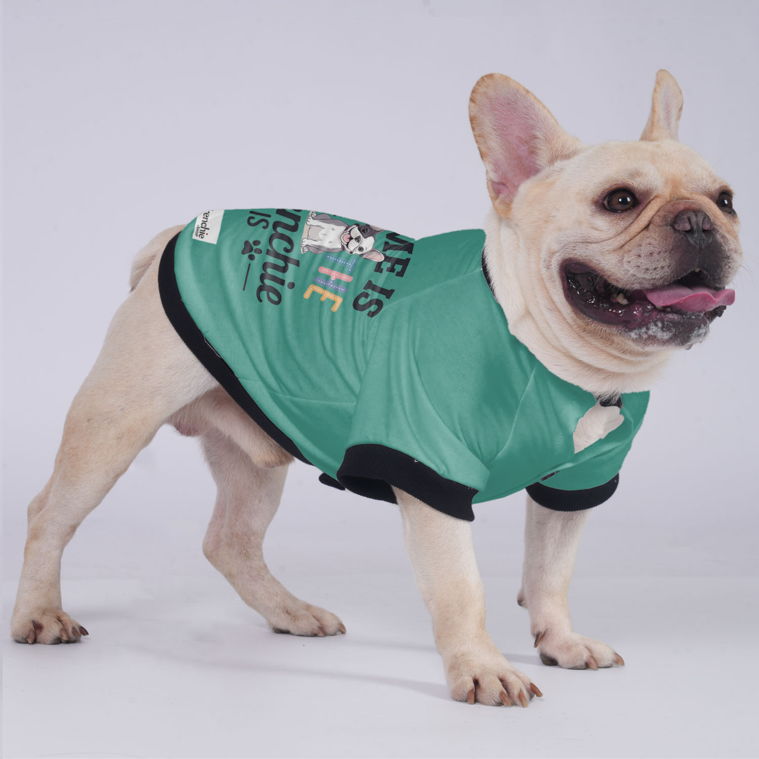 French Bulldog Charlie - Durable Jacket For French Bulldog Pet Gear