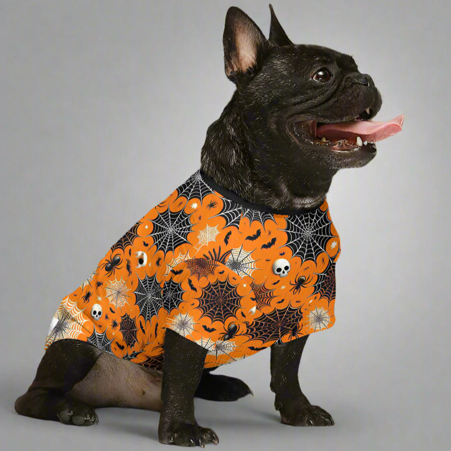 Morty - Wool Sweater for Frenchies