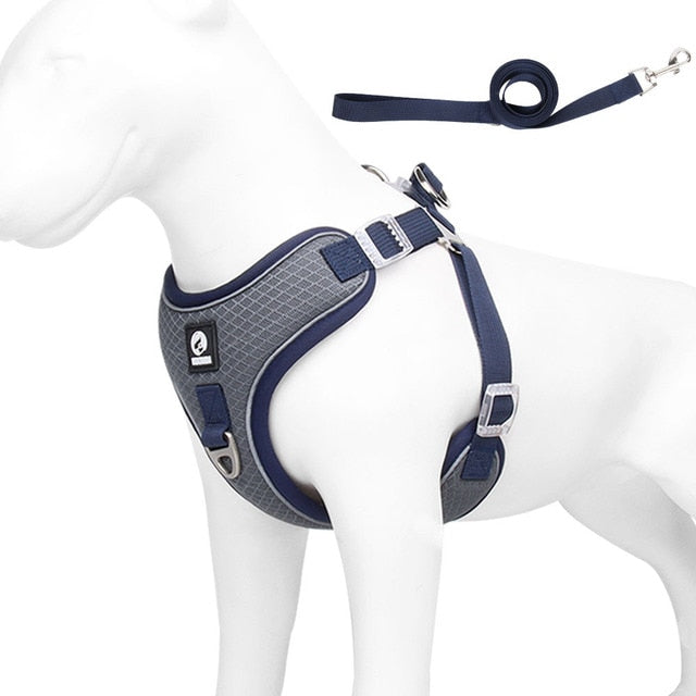Frenchiekit™ - Adjustable Frenchie Harness Leash Set