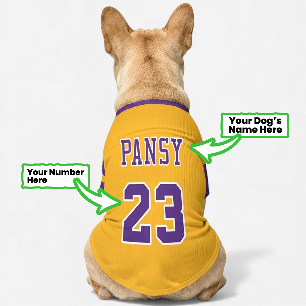 Personalized Wool Sweater For Frenchies Casual Wear | Premium Quality