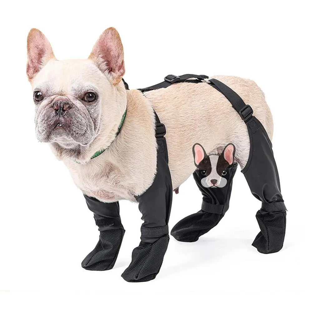 Durable Pawguard French Bulldog Footwear Soft And Stylish Paws Protec...