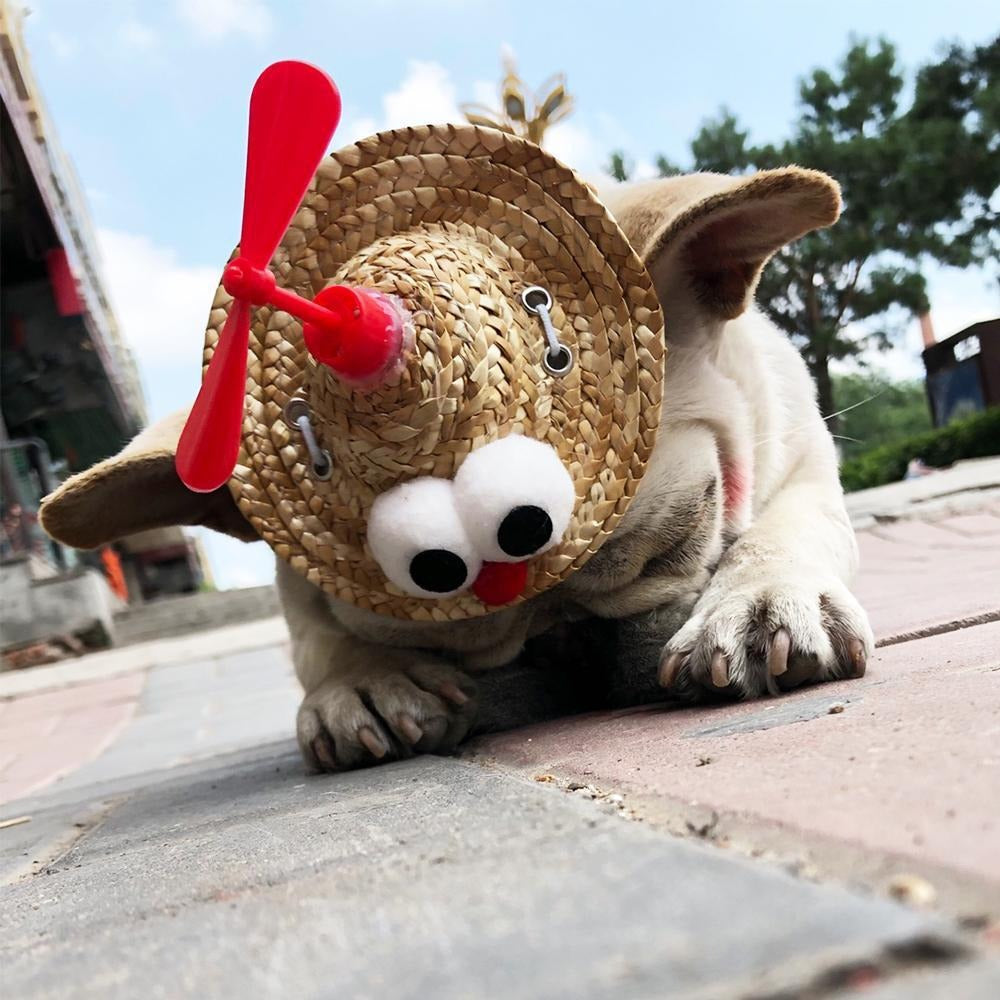 French Bulldog Twirlcap Frenchie Spinning Straw Hat – Cute Propeller