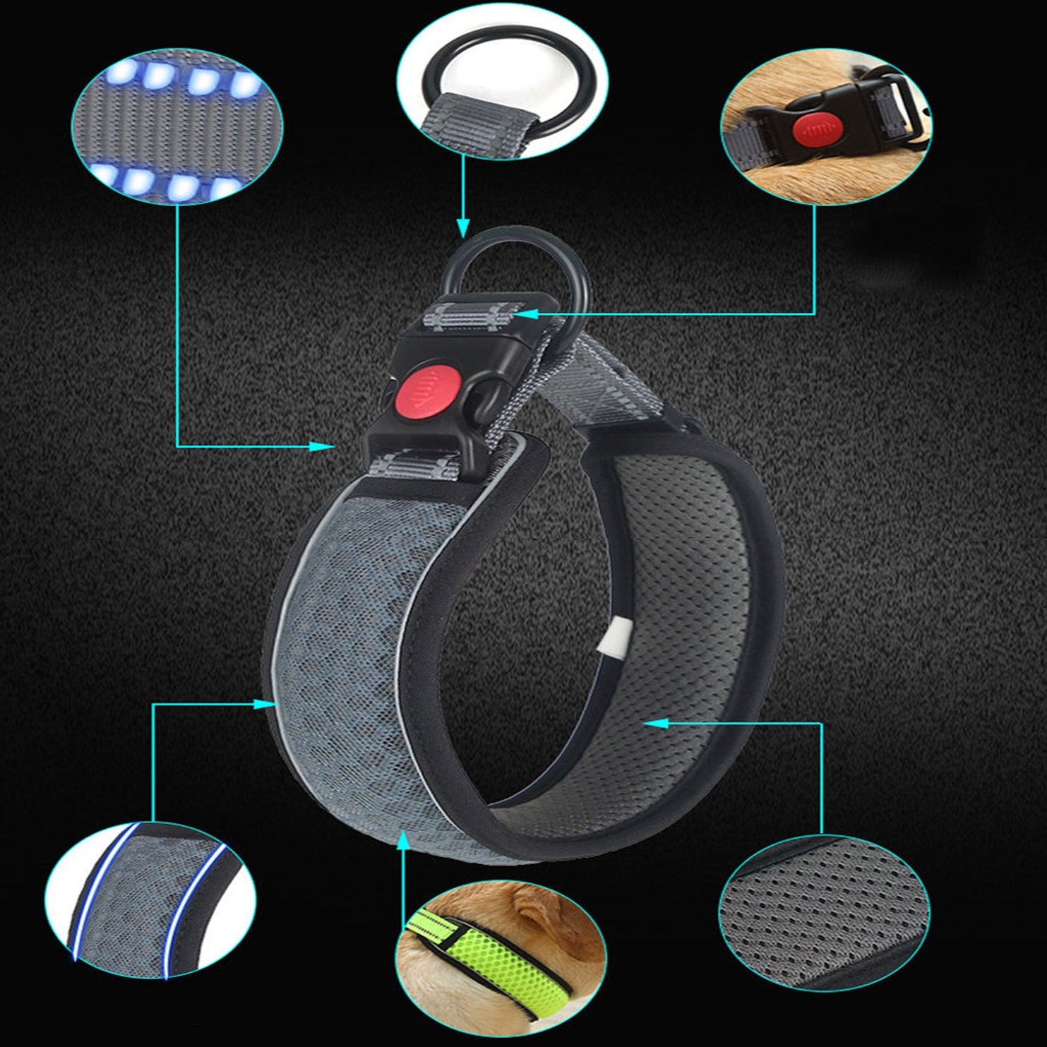 Hexafur Frenchie Reflective Collar – Night Safety Adjustable Honeycomb Breathable Collar