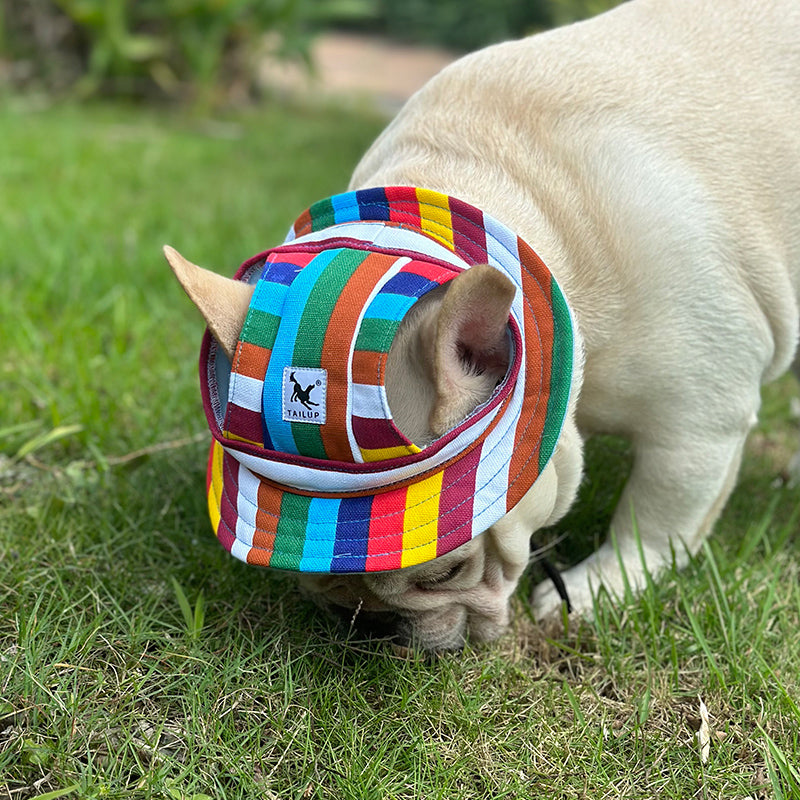 Minimal-Aesthetic Sun-savvy Frenchie Grooming Dress Up Hat: A Fashion...