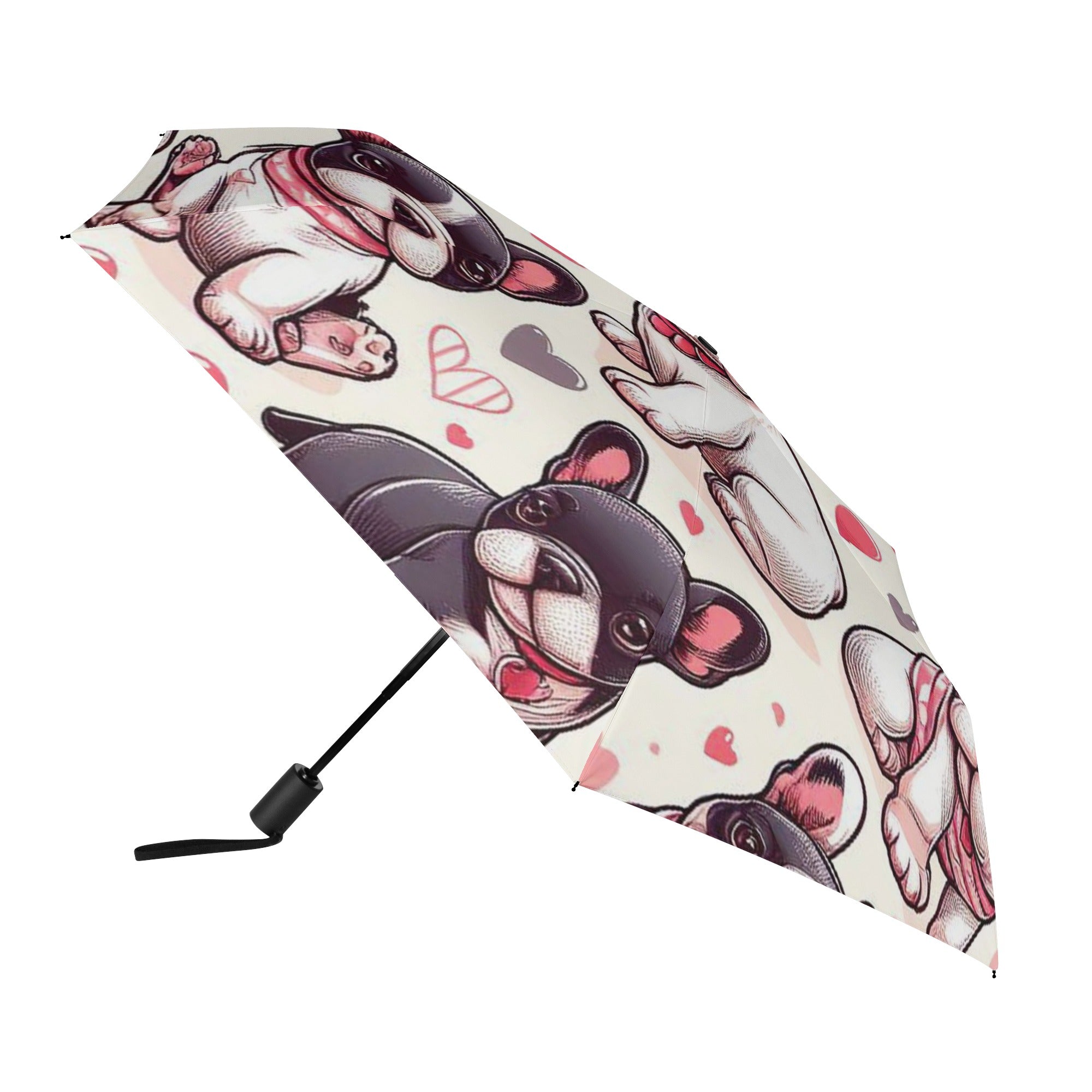 Premium Street-Ready Everyday Leo - Umbrella for Daily Life Comfortable