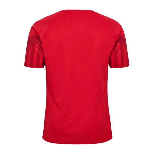 Denmark Limited Edition Home Jersey 2022-2023