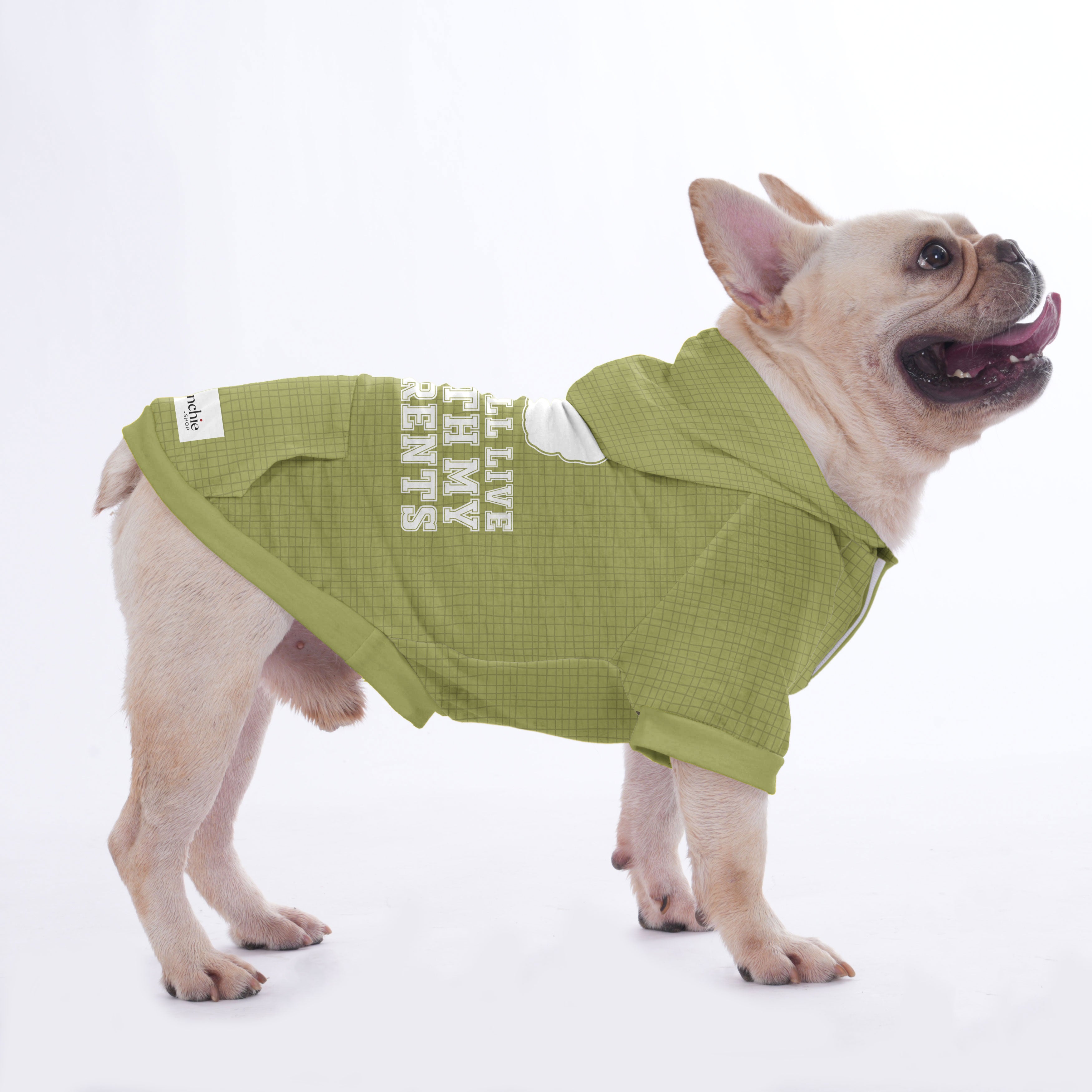 French Bulldog | Frenchie Shop Original Indoor Comfort | Stylish Look