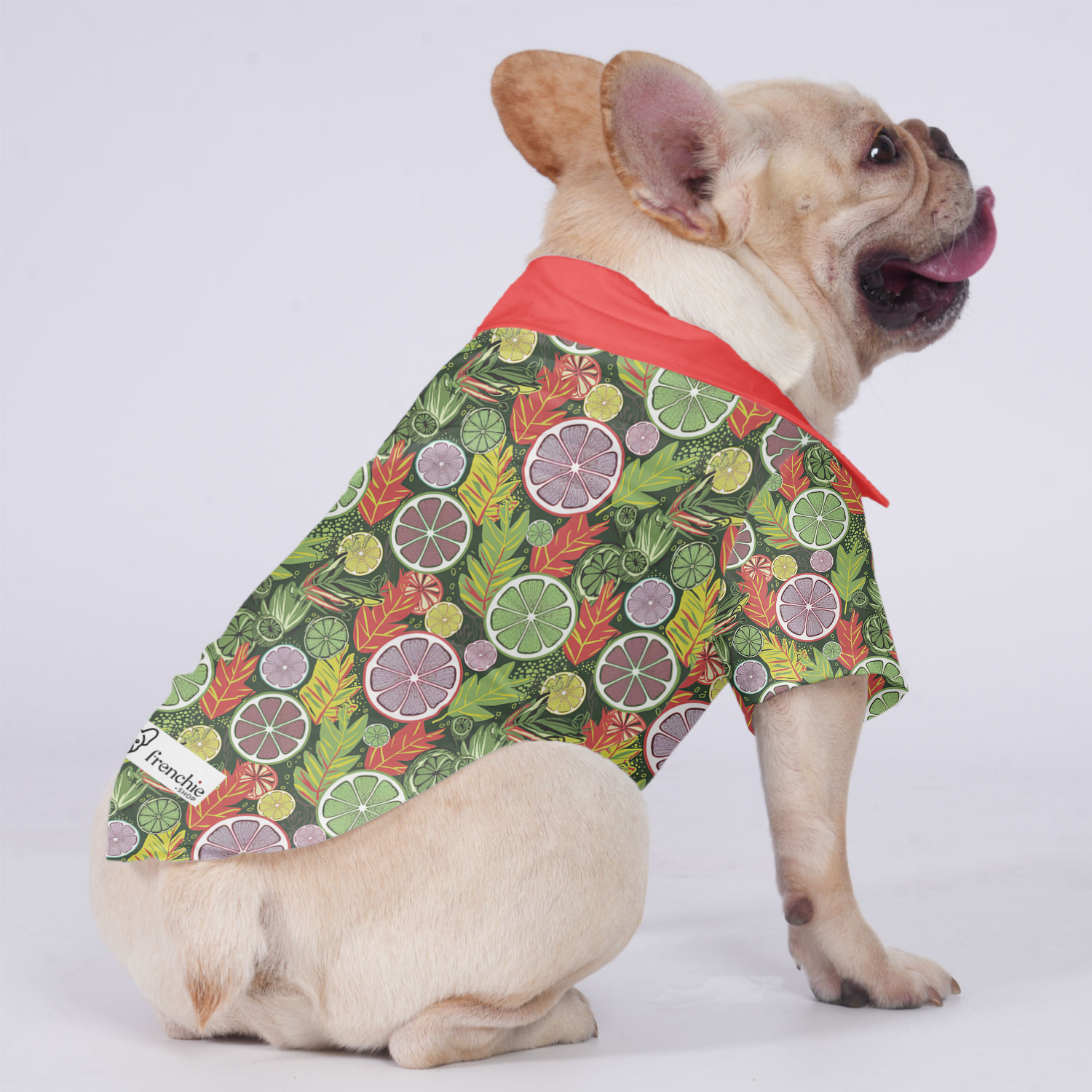 French Bulldog Loki Hawaiian Shirt For Frenchies Comfy Pet Product