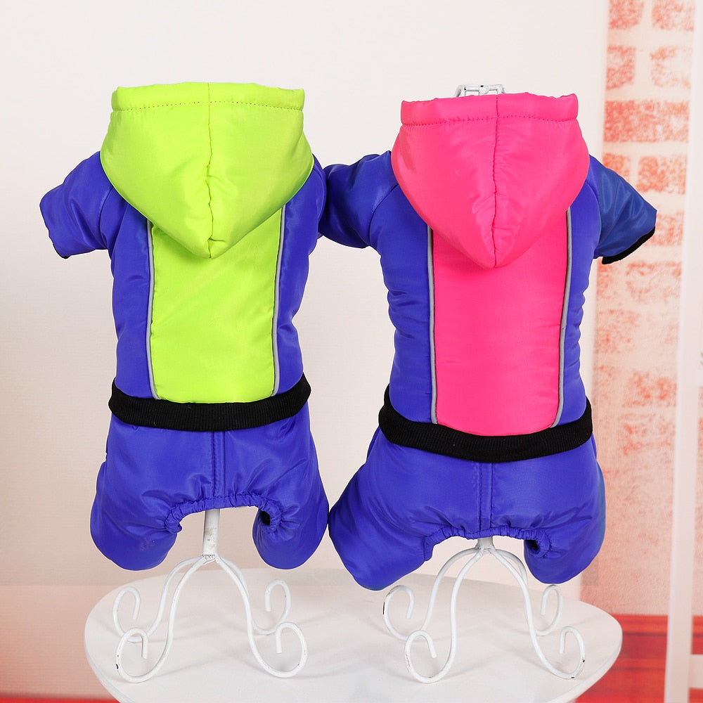 Bulldog Jacket For French Bulldog (ws308) Dog Supplies | Breed-optimized