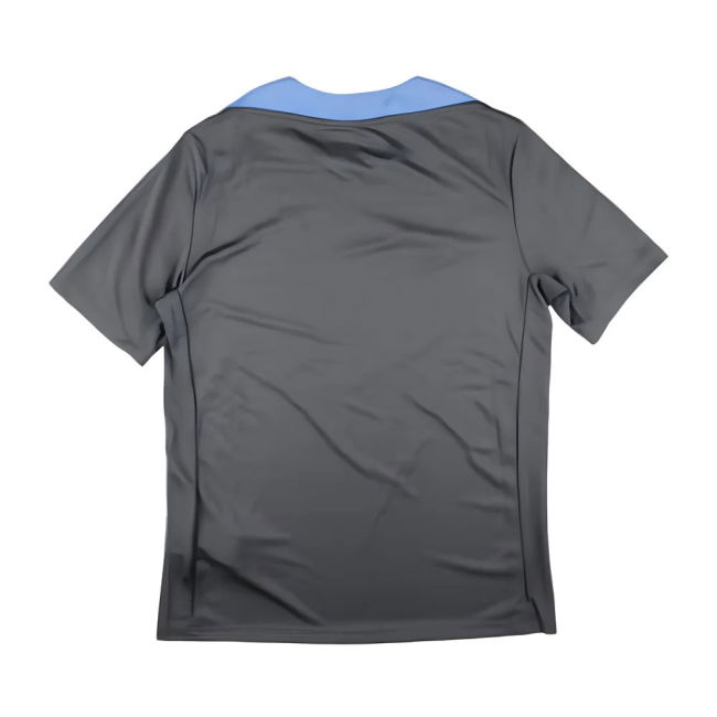 2024-2025 Tottenham Dri-Fit Strike Training Shirt (Dark Grey) (Postecoglou 1)