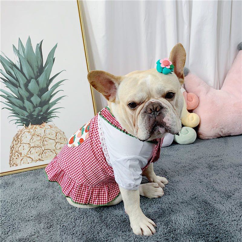Safe Vest Skirt Frenchie Summer Dress (w318) Outdoor Use | Durable Build