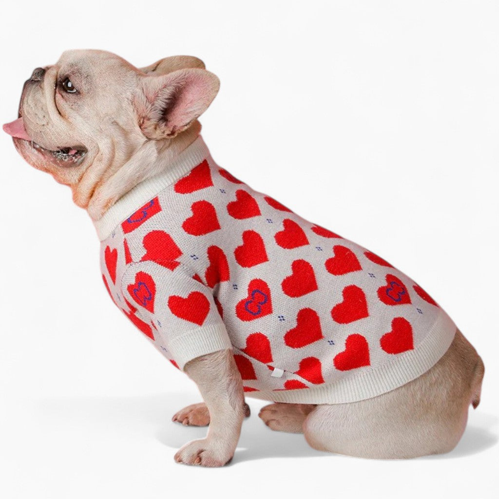 Trendy Hearts - Winter Sweater For French Bulldog (wj09) for Casual