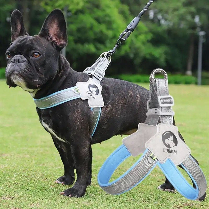 LightLatch No pull Frenchie Reflective Harness