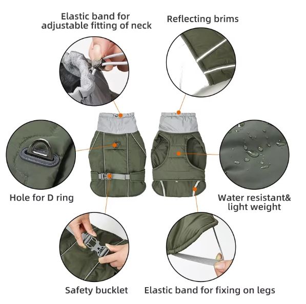 Street-Ready Chillelite Frenchie Luxury Winter Jacket for Dog Owners