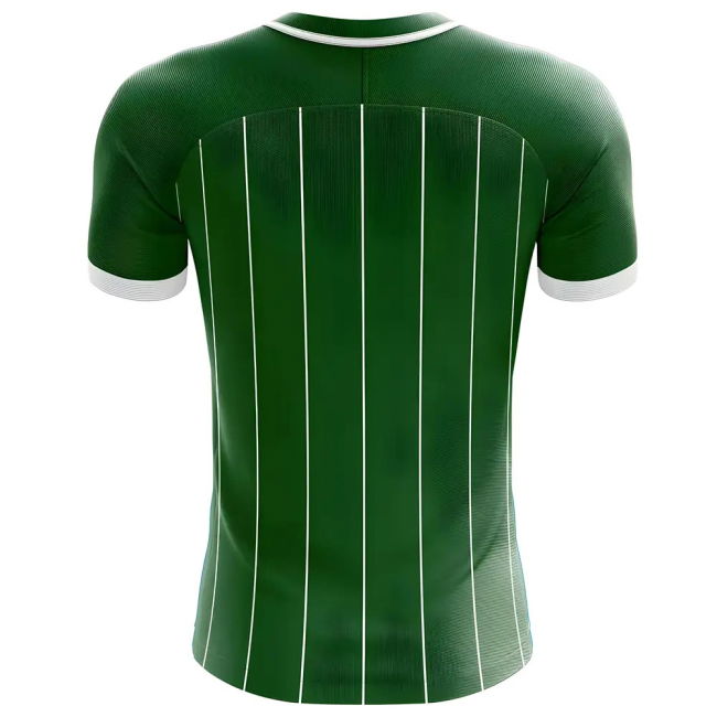 Match Worn Style Ireland Top Level Home Elite Kit