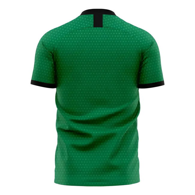Elite Fan-Favorite Nigeria 2025-2026 Home Concept Football Kit