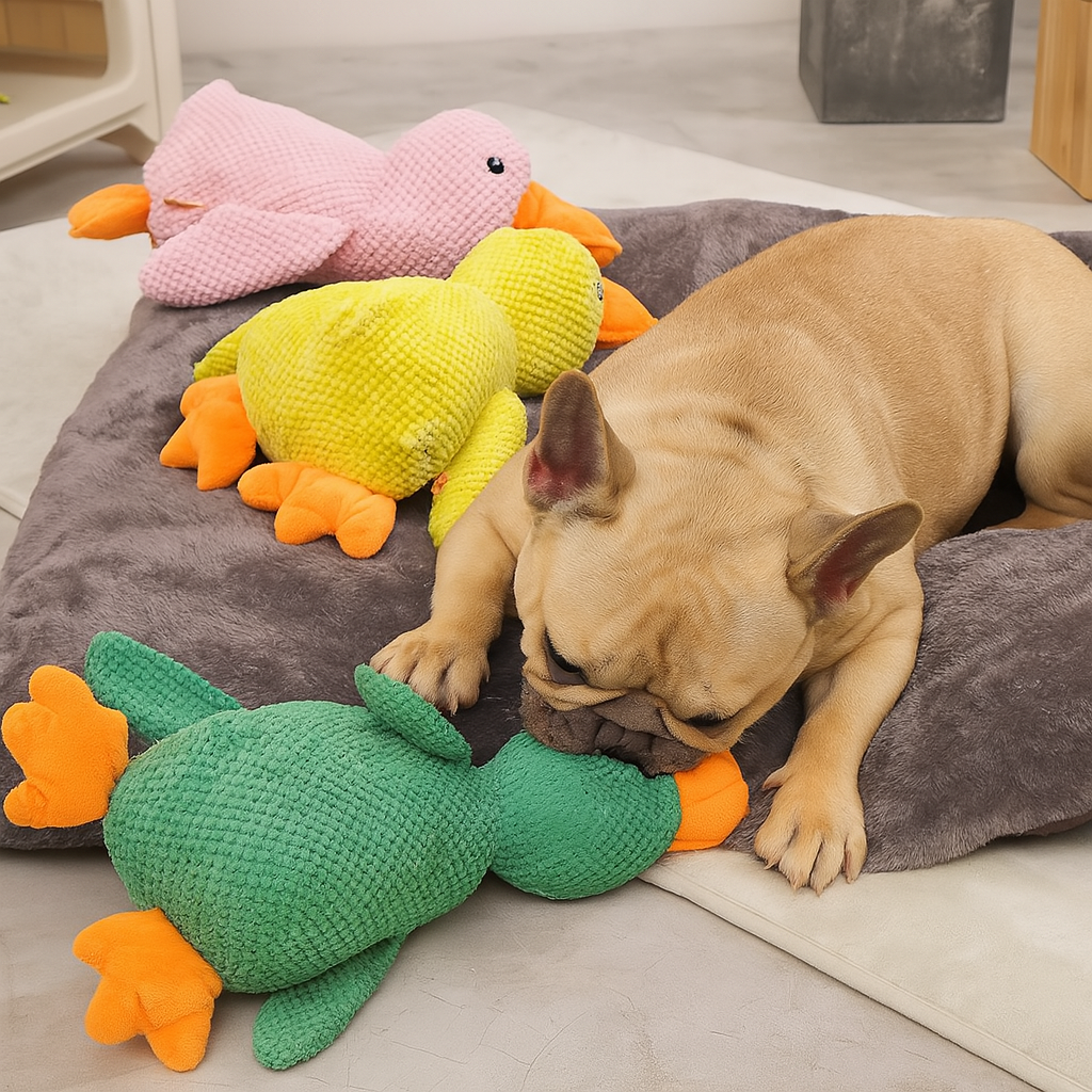 French Bulldog Ducklet Frenchie Duck Chew Toy – Interactive Sounding