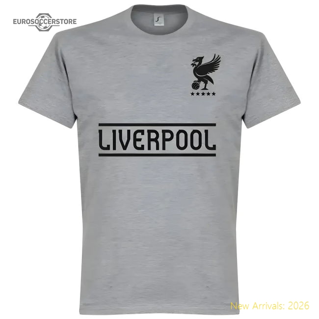 Liverpool T-Shirt Fan Version For Kids Grey Match Day Shirt