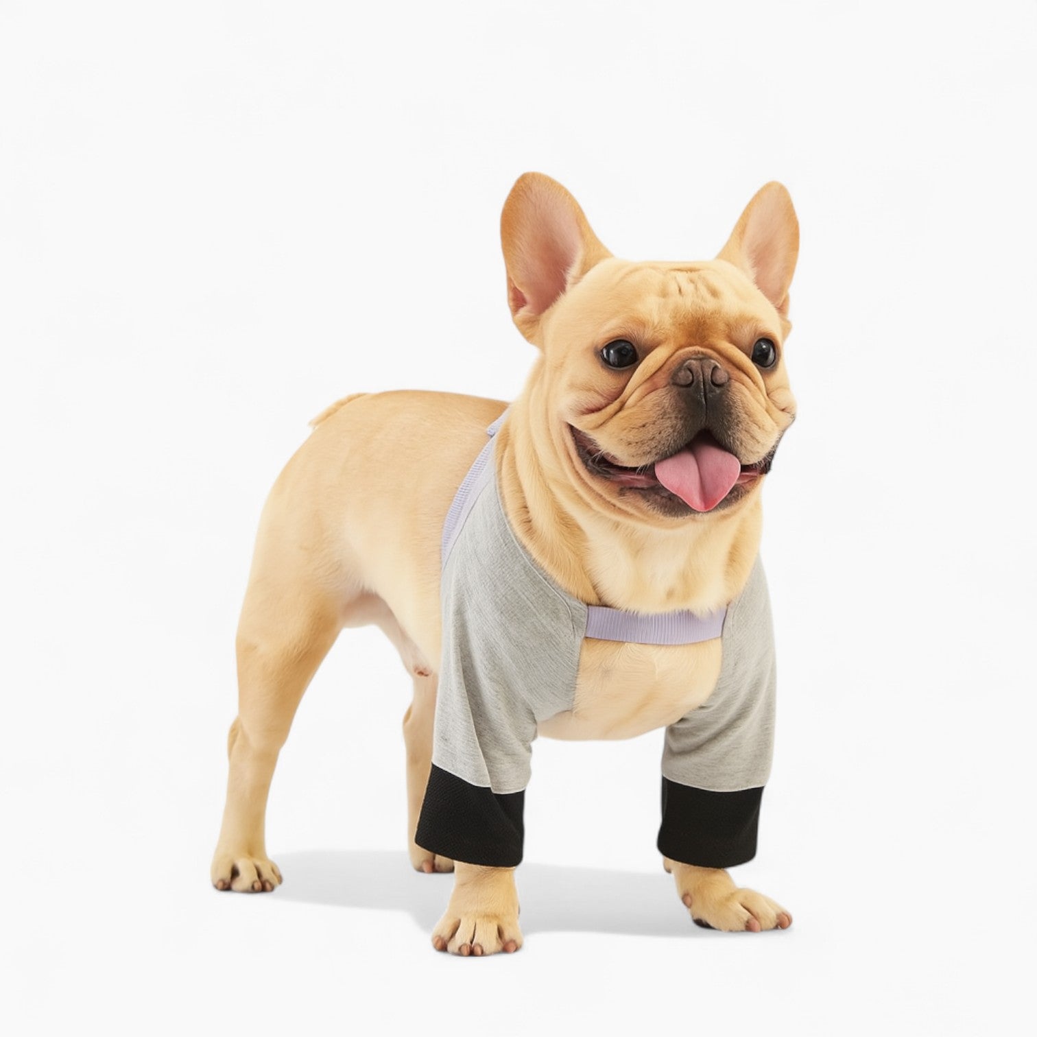 Frenchie-Fan Pawtex Frenchie Front Leg Recovery Sleeve – Soft Breatha...