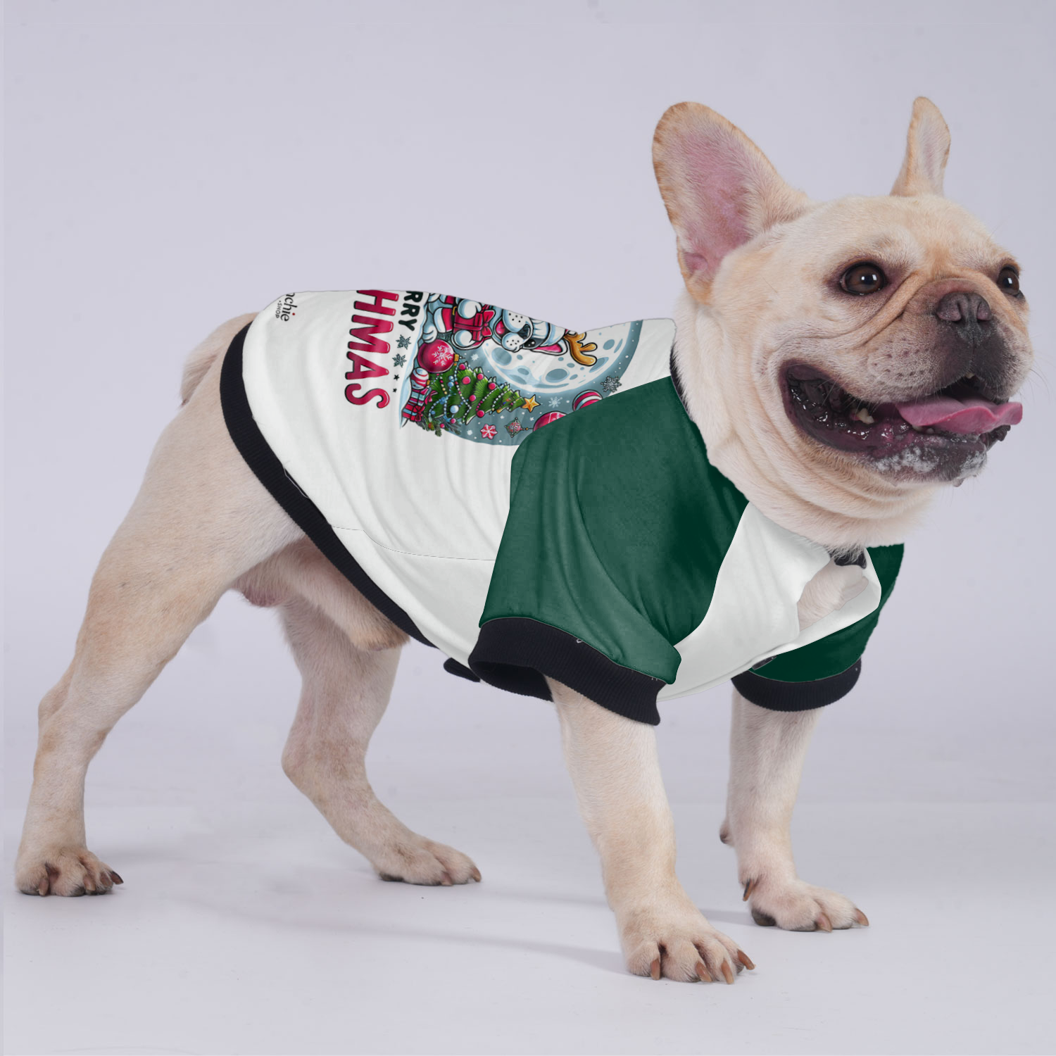 Sadie - Safe Jacket For French Bulldog Indoor Use | Safe For Paws