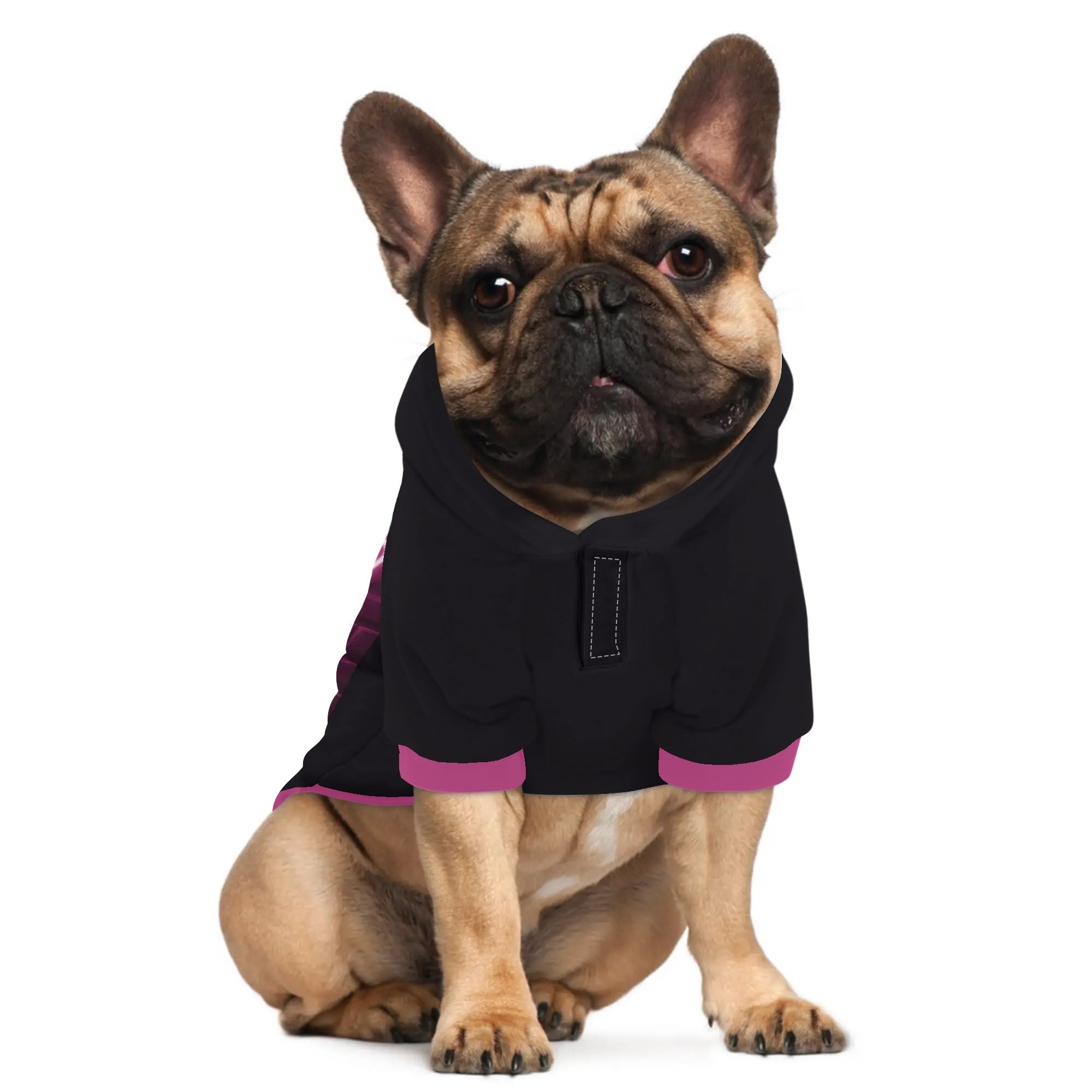 French Bulldog Molly Hoodies For French Bulldog | Frenchie Shop
