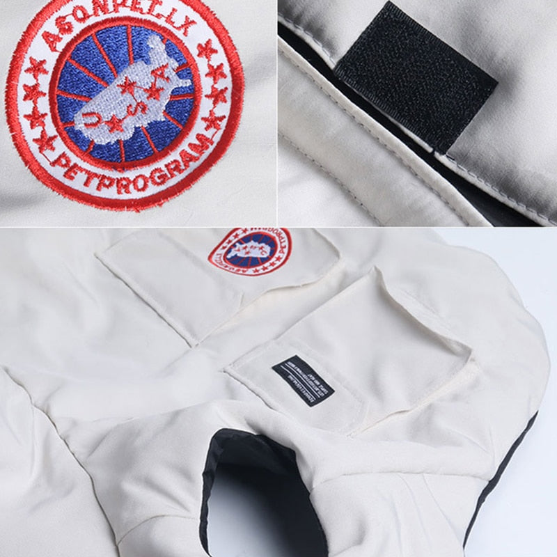 Winter Clothes For French Bulldog (ws390) Indoor Use | Durable Build