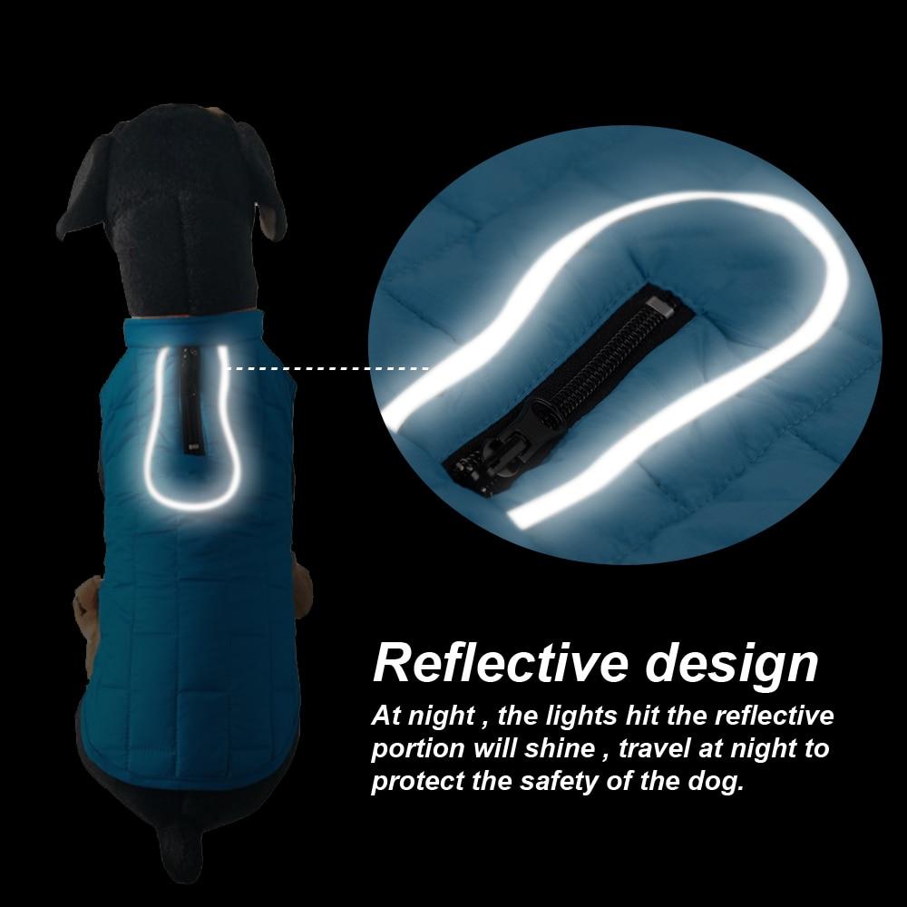 Jacket For French Bulldog Paw Protection | Vet-recommended